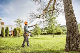 How Our Tree Care Process Works  in  Bethel Park, PA