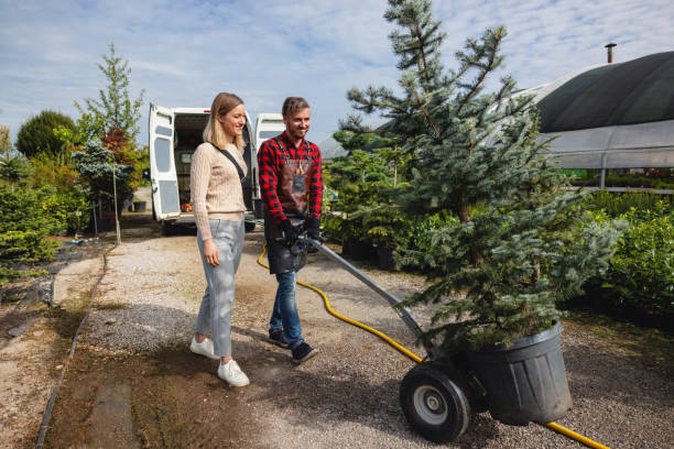 Professional Tree Care Services in Bethel Park, PA